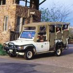 Kruger Guided Game Drive